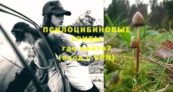крисы Карабаново