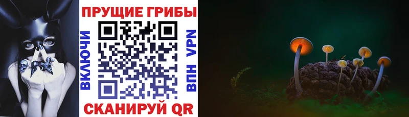 как найти наркотики  Медногорск  Галлюциногенные грибы ЛСД 
