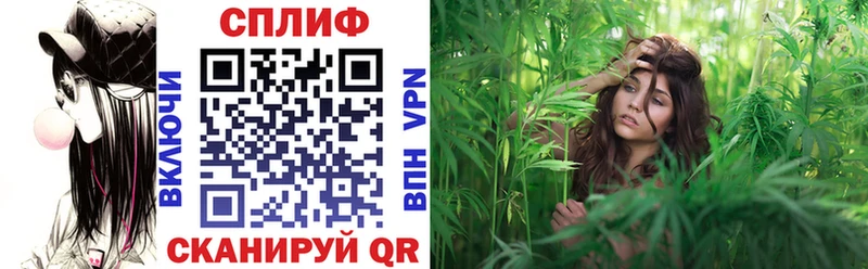 omg маркетплейс  Медногорск  даркнет клад  Марихуана OG Kush 